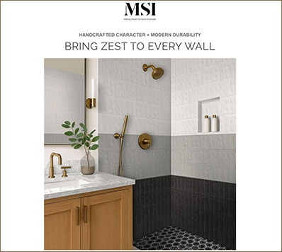 MSI image 11