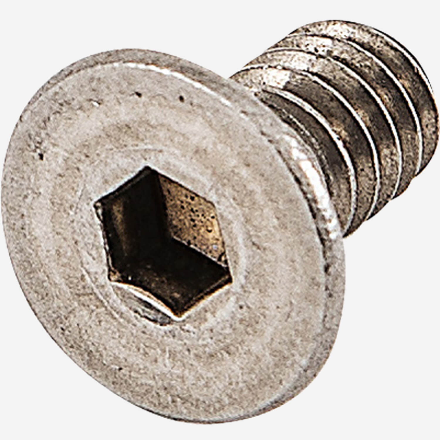 Elmdor image 6