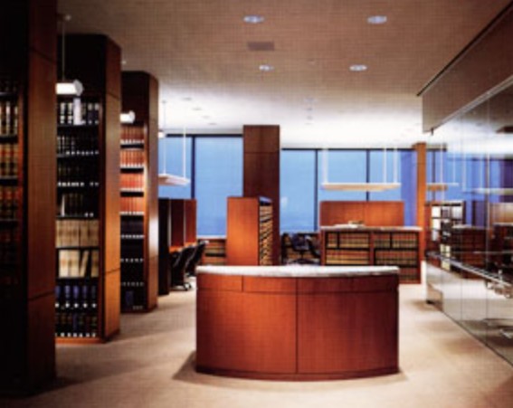 Adjustable Shelving image 4