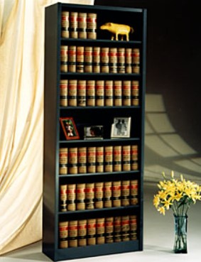 Adjustable Shelving image 5