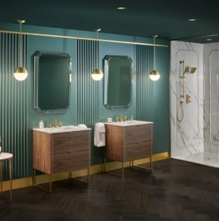 DXV image 8