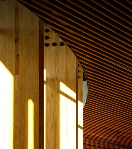 Sculptform image 8