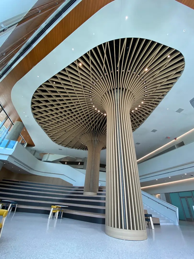 MCM Acoustical image 5