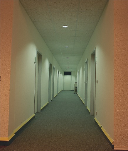 EverGlow image 11