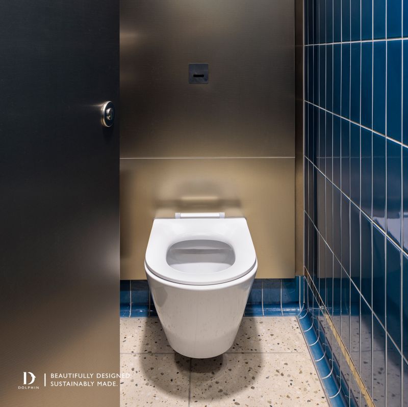 Dolphin Solutions image 7