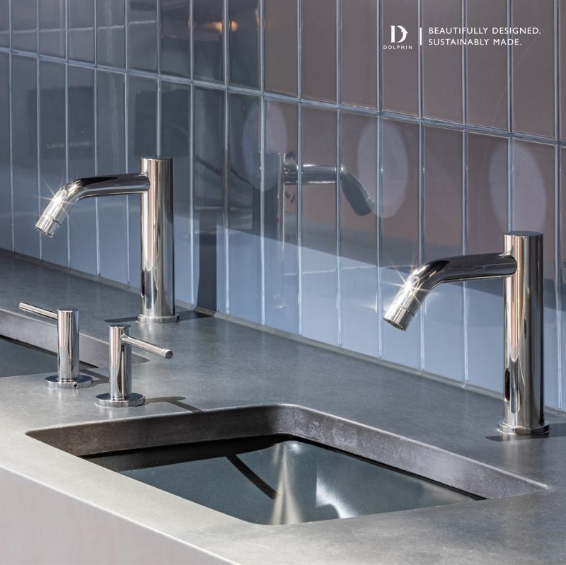 Dolphin Solutions image 6