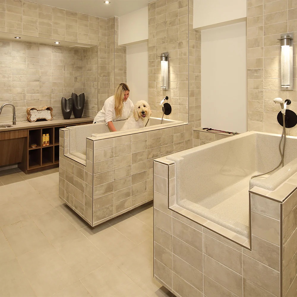 Architessa image 7