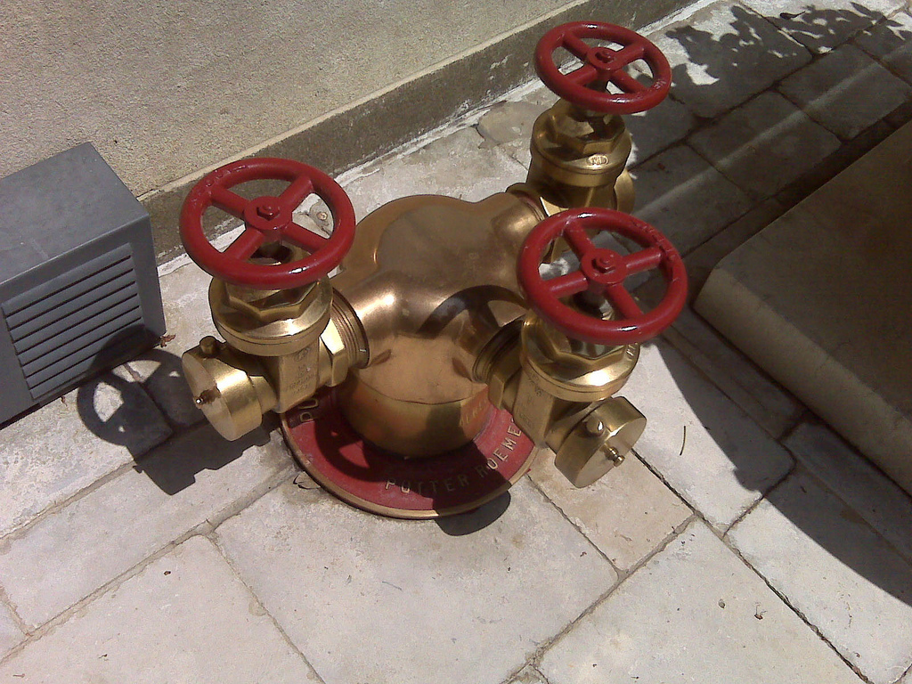 Potter Roemer image 5