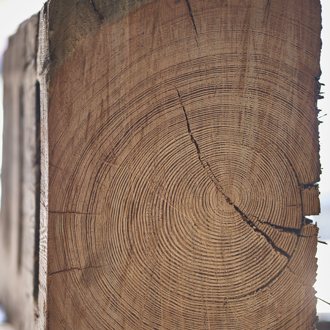 SawKill Lumber Co. image 7