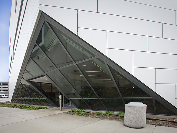 Linetec image 8