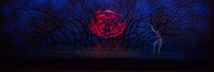 Rose Brand image 2