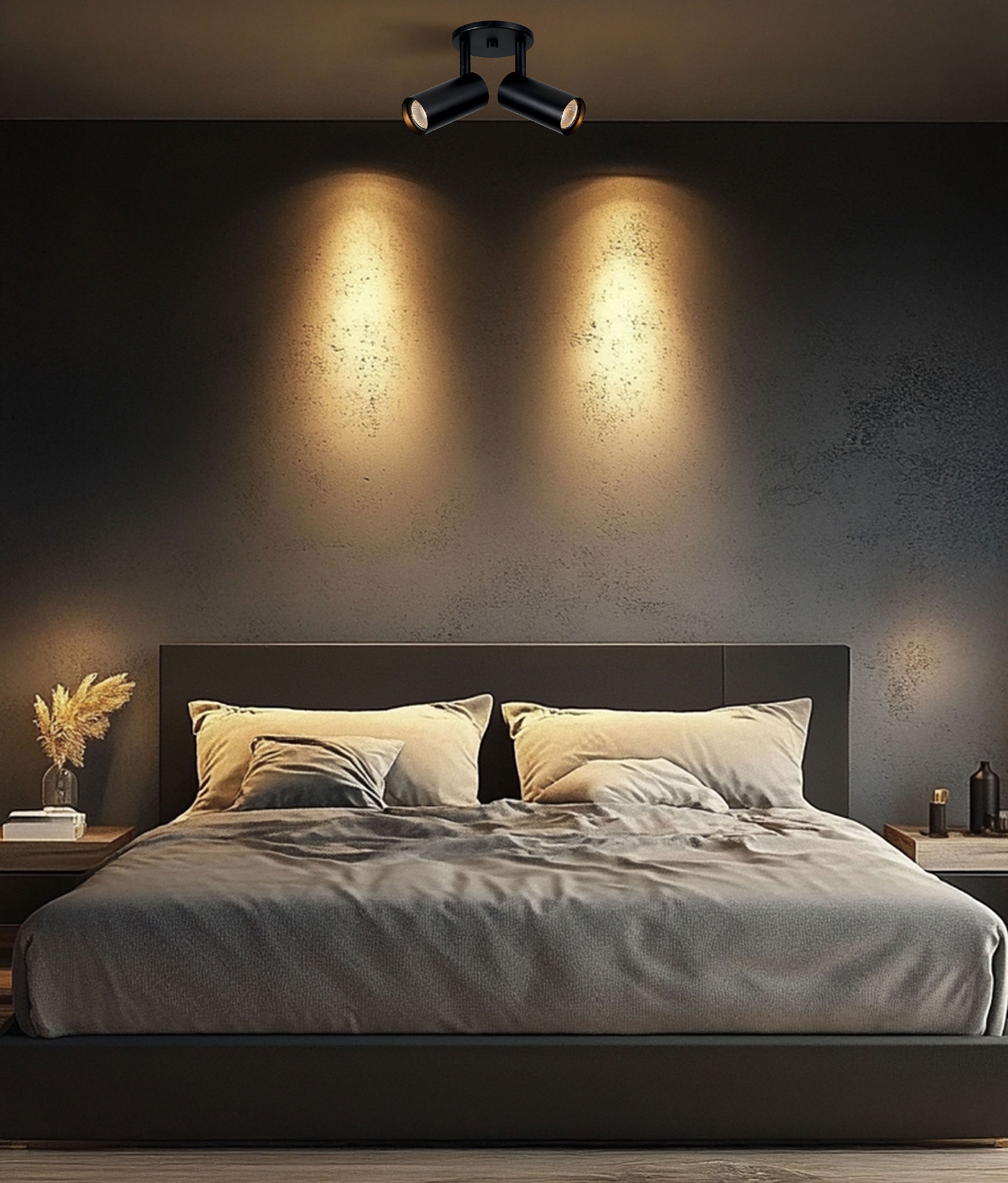 Lightology image 2