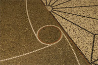 Corradini Corporation image 3
