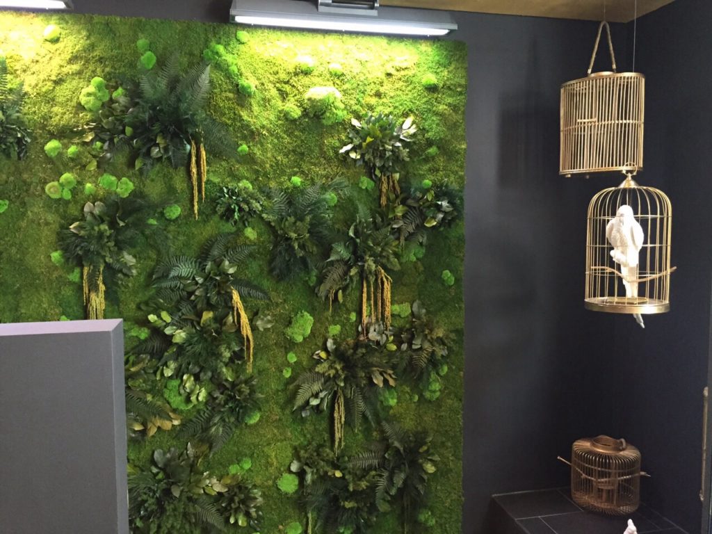 Vibe image 6