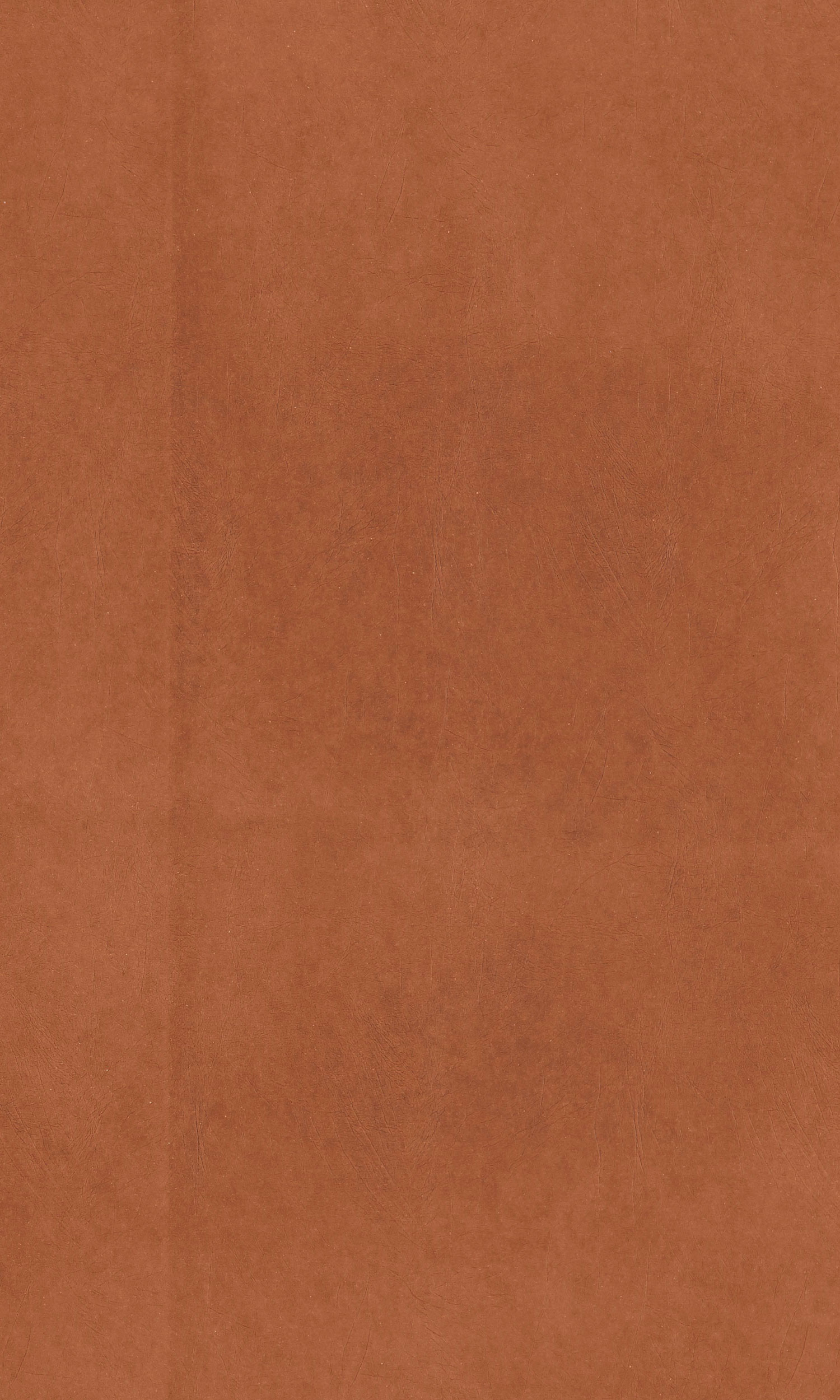 Laminart image 5