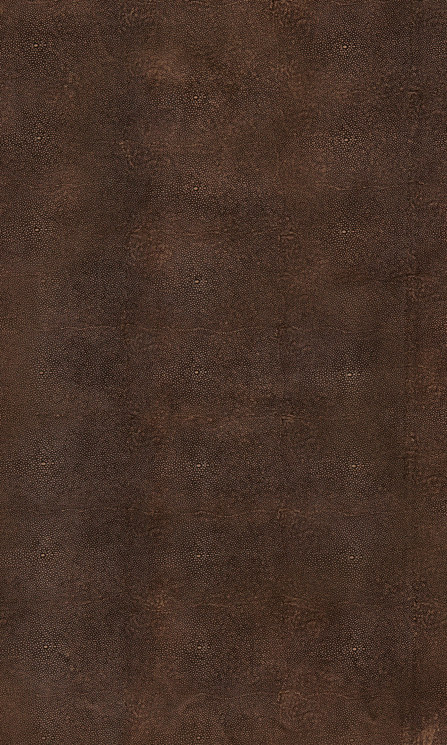 Laminart image 7