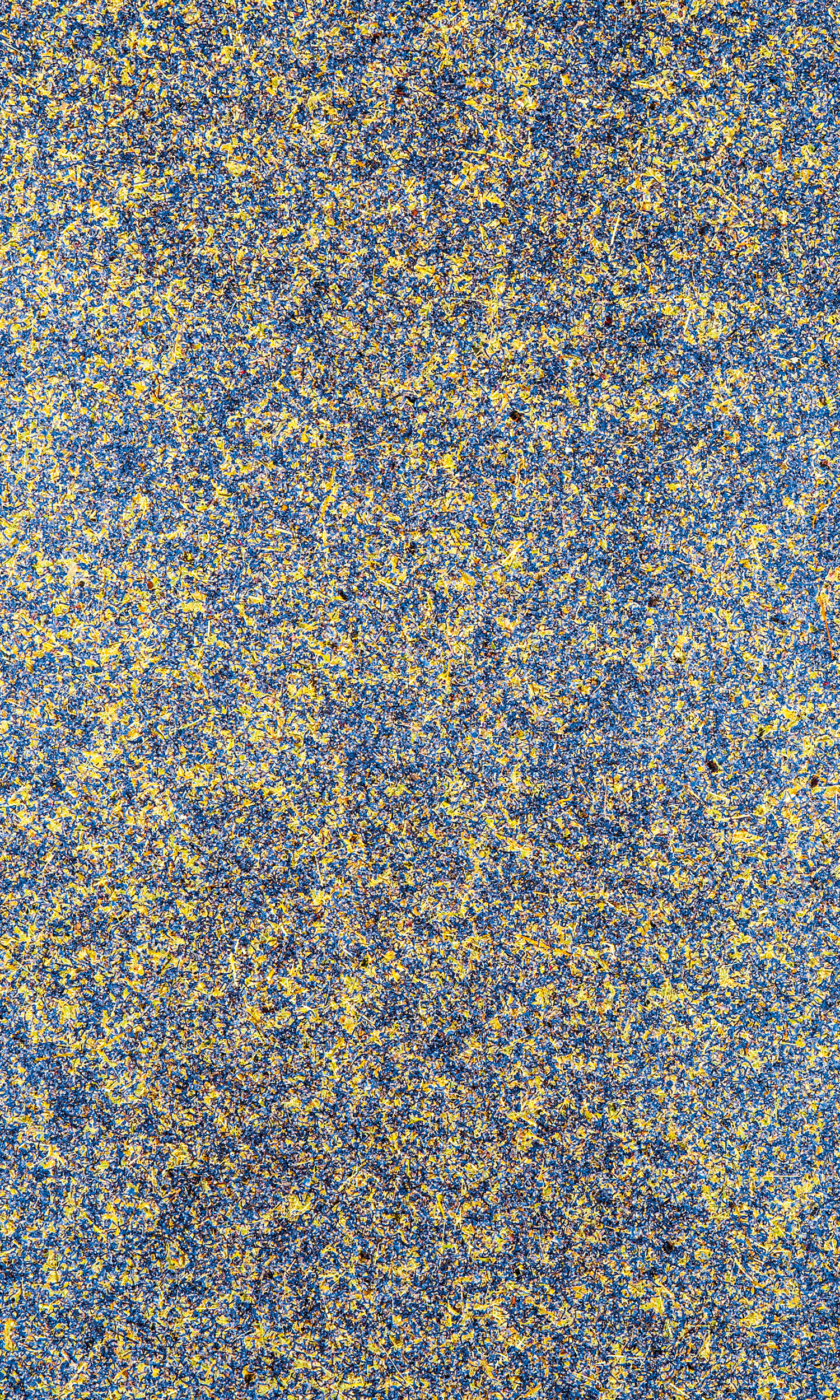 Laminart image 10