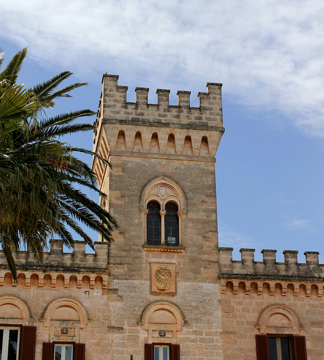 Potocco image 6