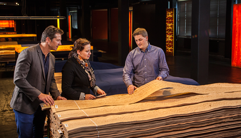 Danzer image 7