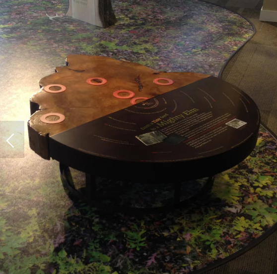 Direct Embed Coating Systems image 6