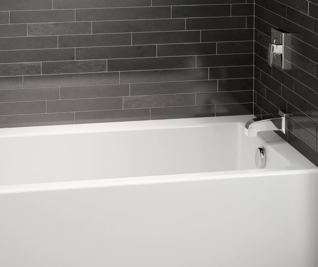 Swan image 8