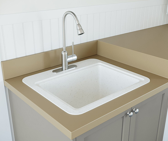 Swan image 9