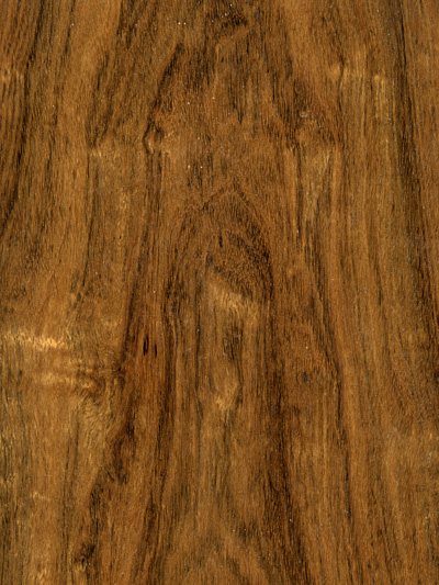Veneer Products Ltd. image 6