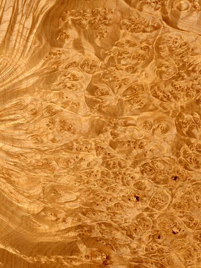 Veneer Products Ltd. image 10