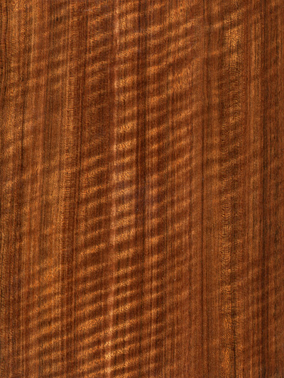 Veneer Products Ltd. image 7