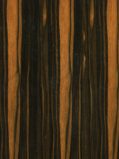 Veneer Products Ltd. image 8
