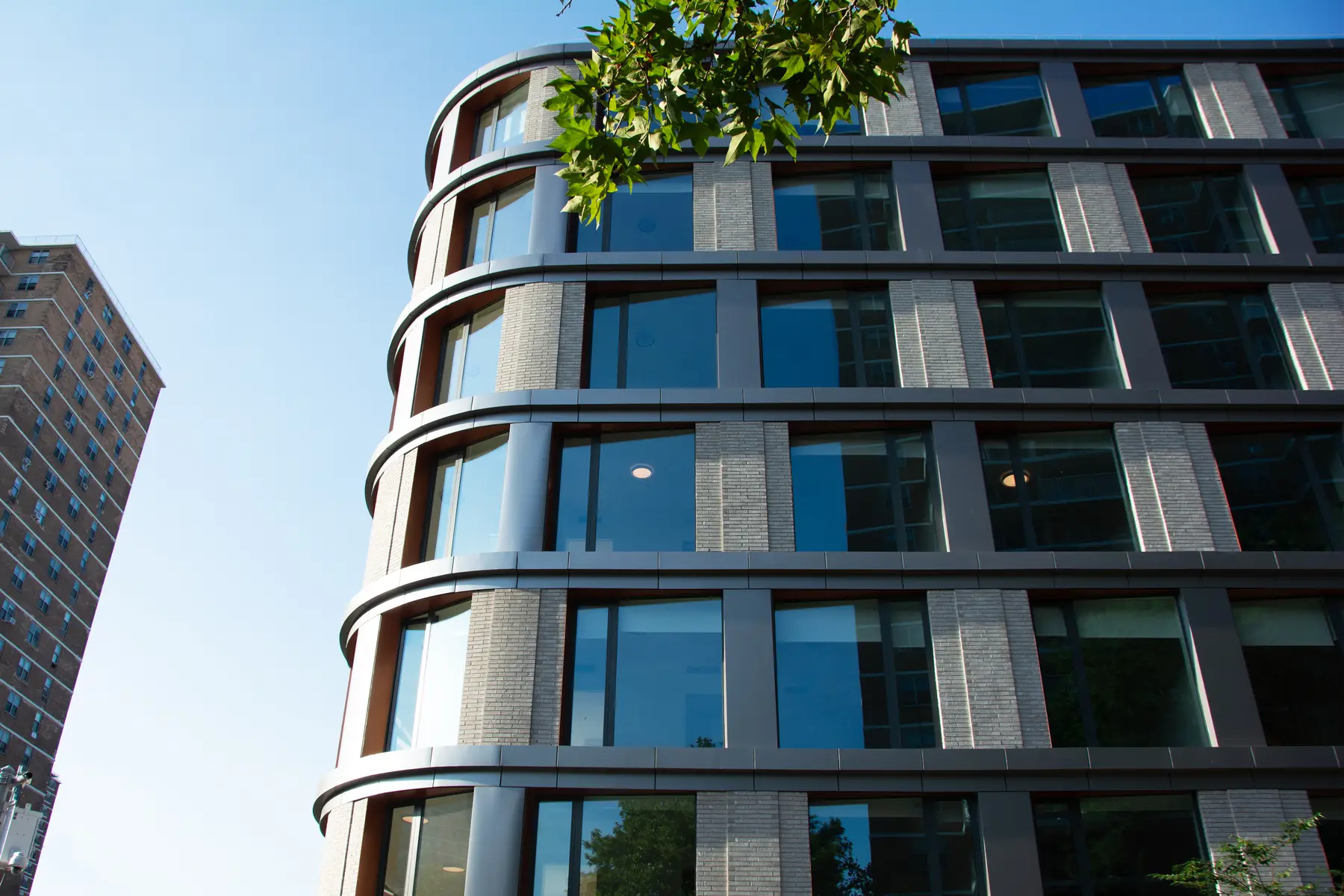 Arcon Glas image 4
