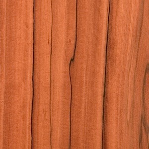 Crown Veneer Corp. image 5