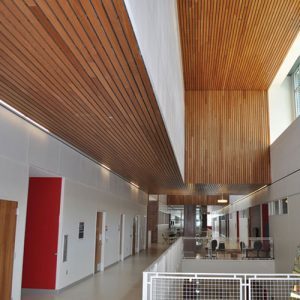 ASI Architectural image 11