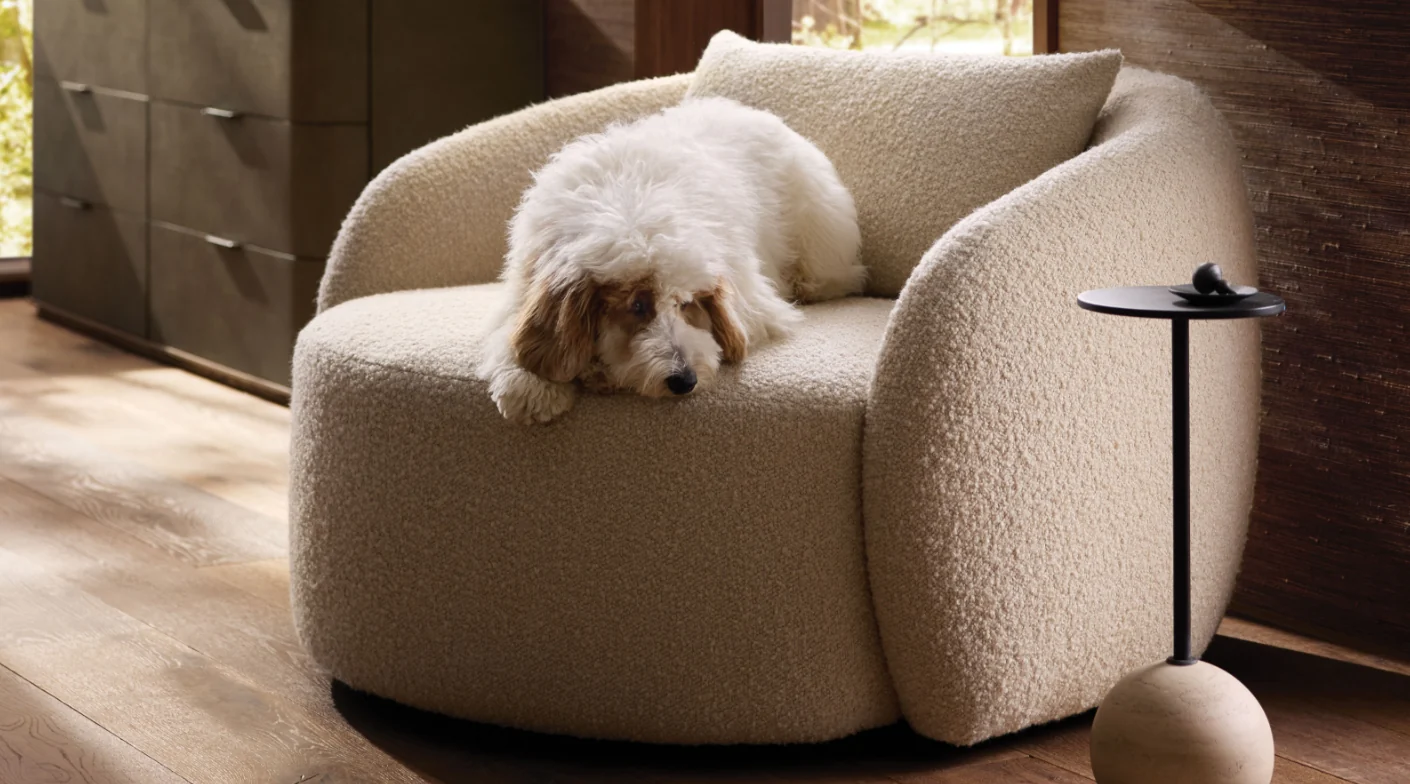 Arhaus image 3