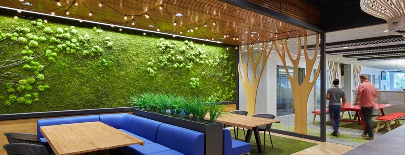 Garden On The Wall