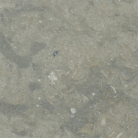 Agora Surfaces image 8