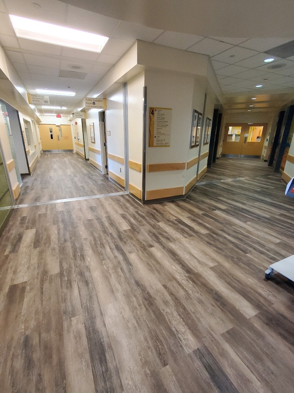 OneFlor USA image 5