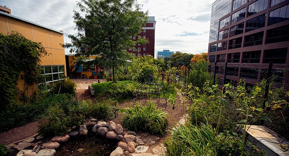 Hanging Gardens, LLC image 1