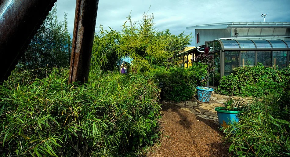 Hanging Gardens, LLC image 5