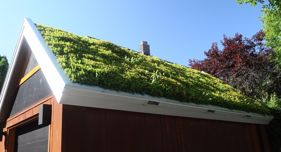 Hanging Gardens, LLC image 10