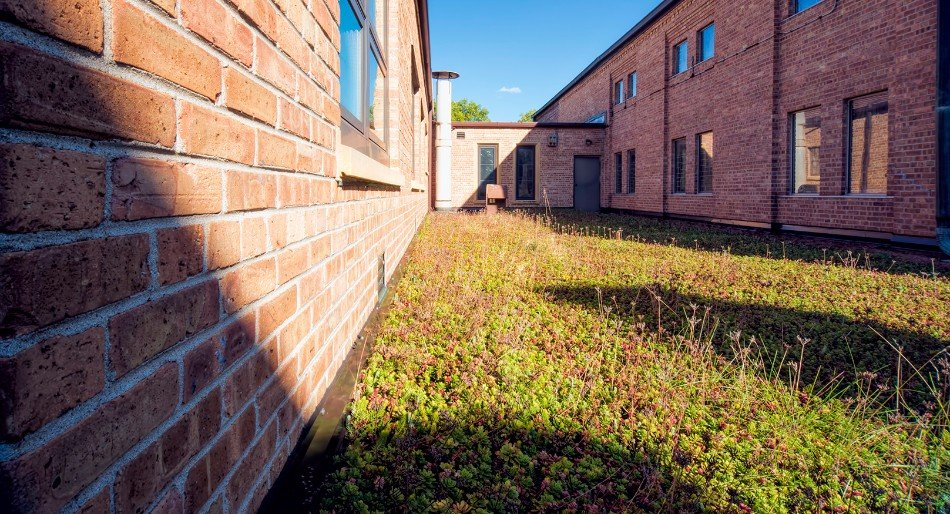 Hanging Gardens, LLC image 11