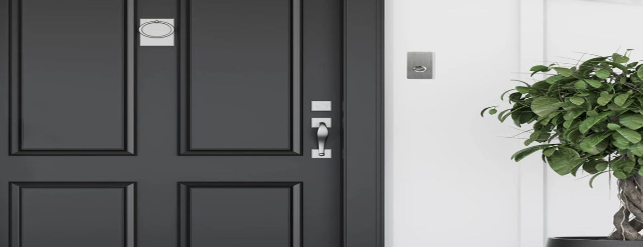 Modern Stainless Hardware