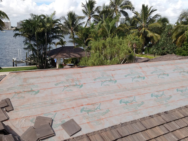 Sharkskin image 15