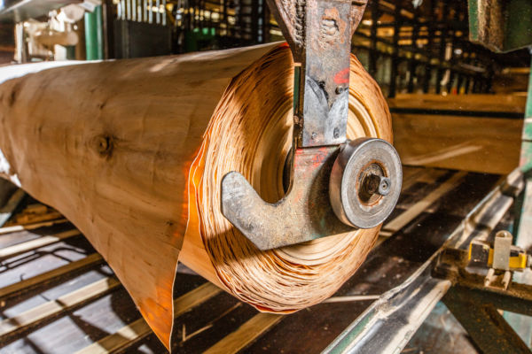 Timber Products Co. image 7