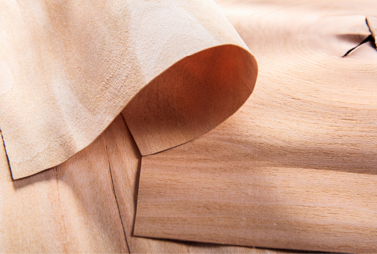 Timber Products Co. image 3