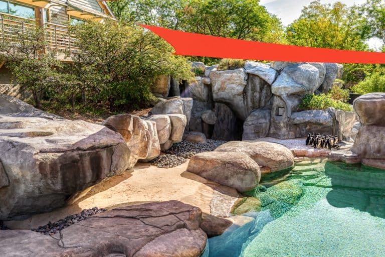 Colorado Hardscapes Inc. image 4