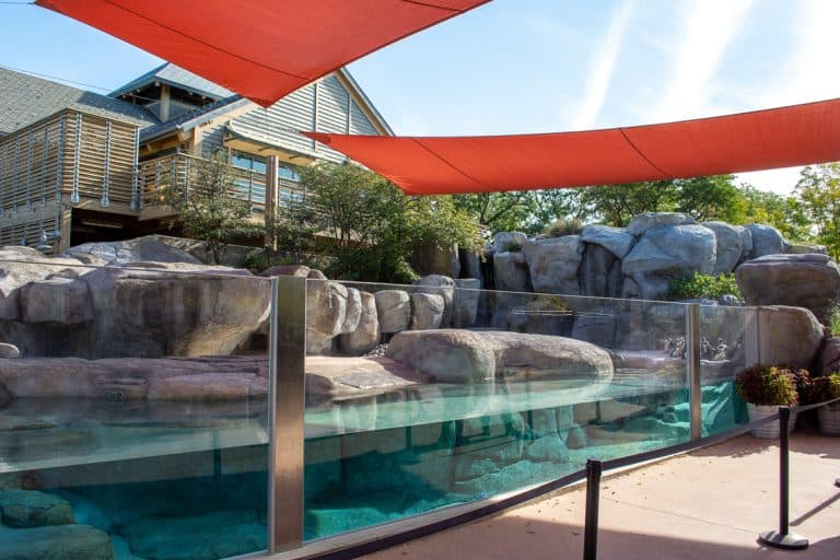 Colorado Hardscapes Inc. image 5