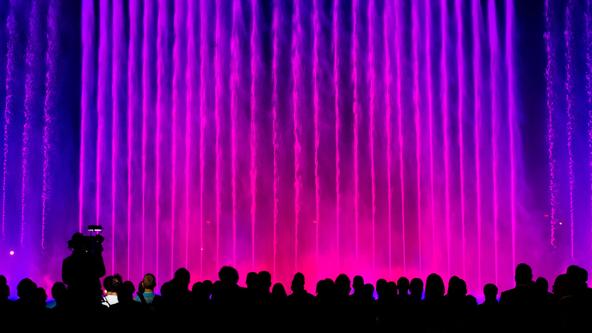 Wet Design image 6
