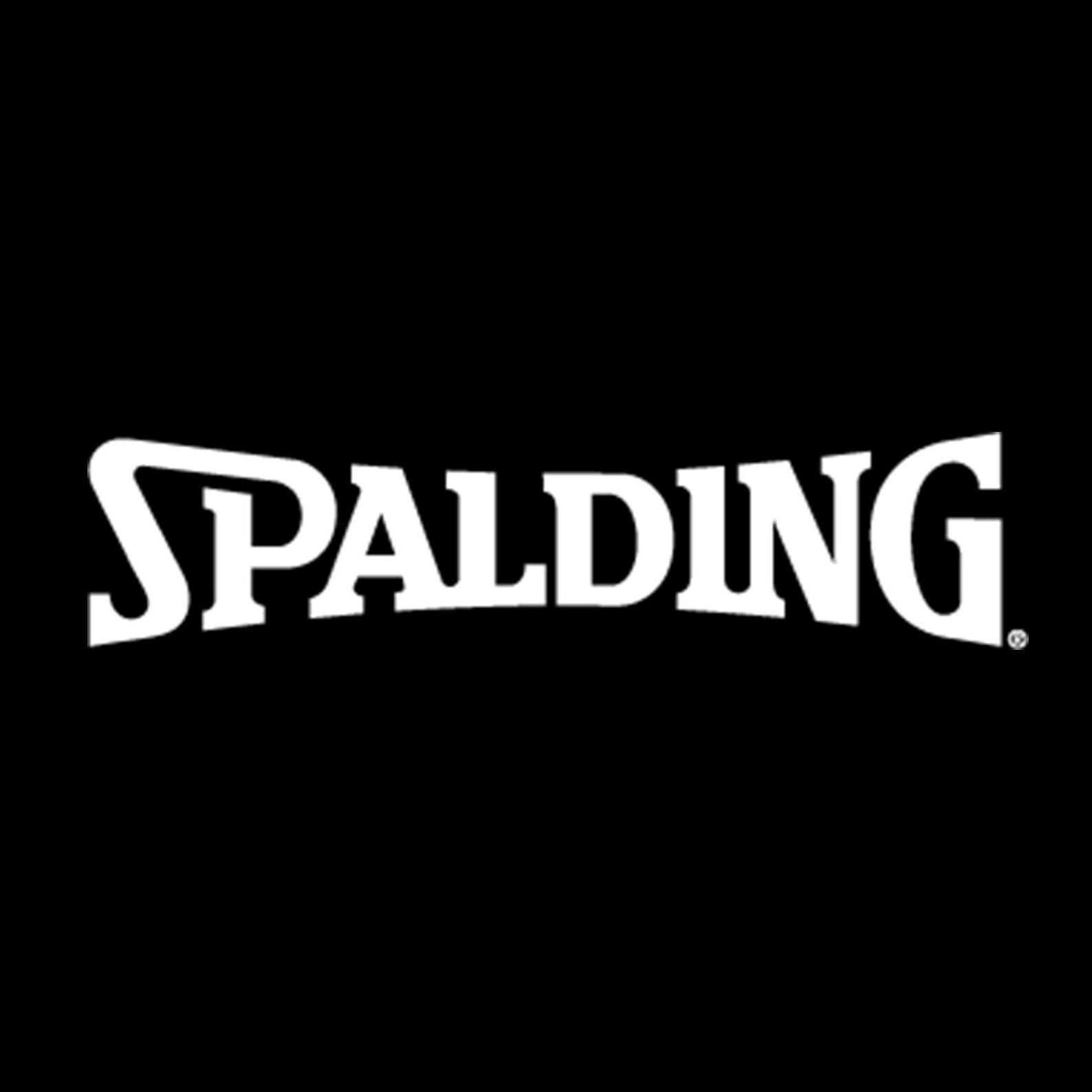 Spalding Equipment logo