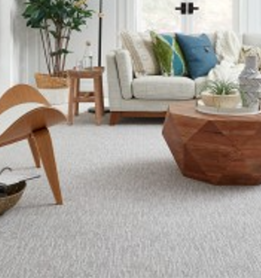 Dixie Group Commercial image 4